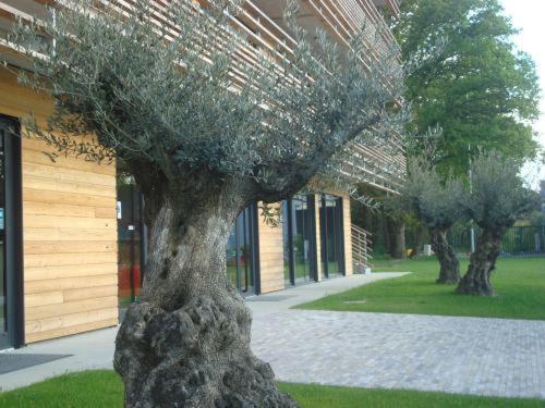 The Originals City, Hotel Anaiade, Saint-Nazaire Pornichet Exterior foto